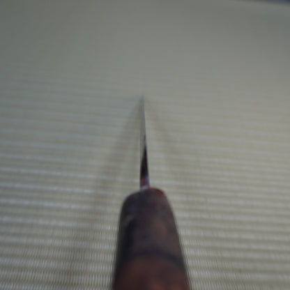 Sale! Yanagiba Knife 250mm White Steel Japanese Blade Sashimi Sushi F-286