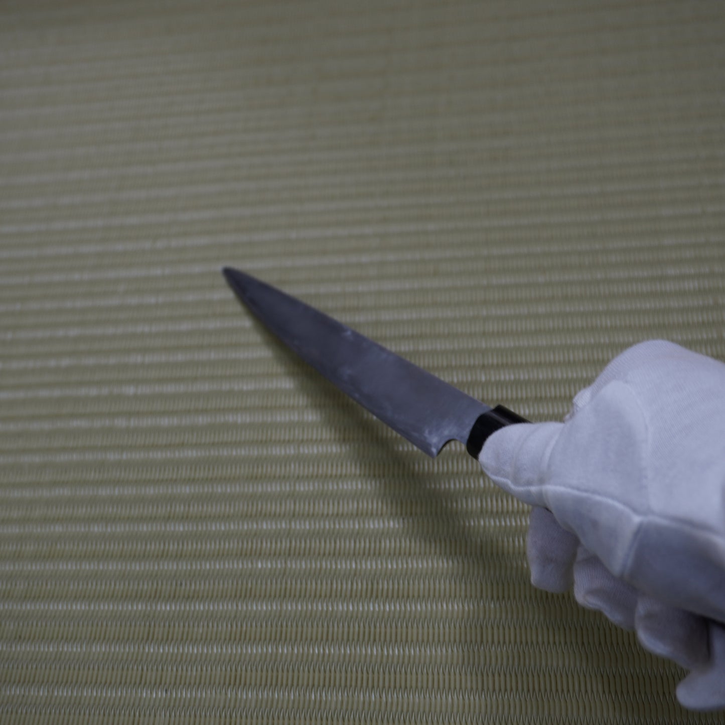 Noshu Masamune Japanese Yanagiba Knife 160mm Used Lightweight Sashimi F-298